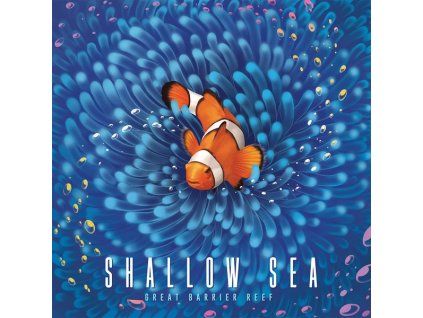 Shallow Sea