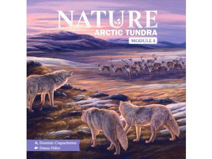 Nature: Arctic Tundra