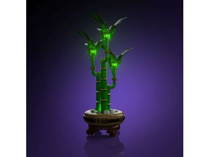 Lucky Bamboo 10344 Iso Main[1]