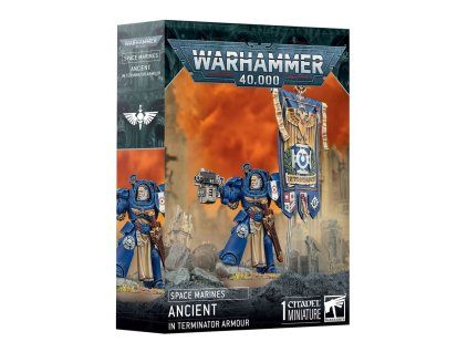 Warhammer 40000: Space Marines: Ancient in Terminator Armour