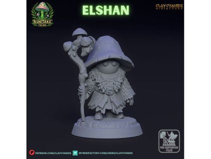 720X720 elshan 02[1]