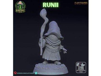 720X720 runii 02[1]