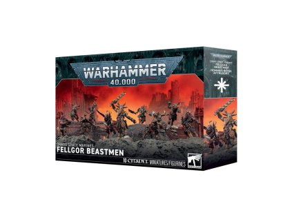 99120102258 ChaosSpaceMarinesFellgorBeastmen08[1]