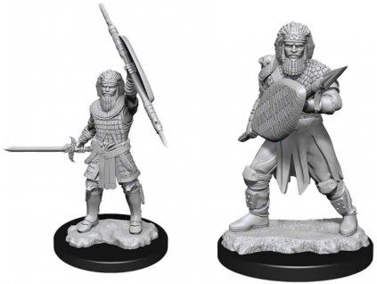 WizKids - D&D Nolzur's Marvelous Miniatures - Human Fighter Male