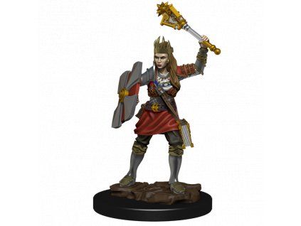 WizKids - D&D Icons of the Realms Premium Figures: Human Cleric Female
