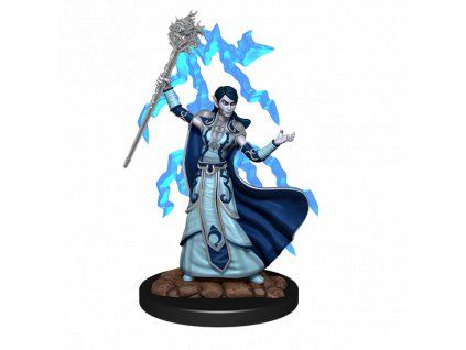 WizKids - D&D Icons of the Realms Premium Figures: Elf Wizard Female