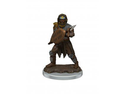 WizKids - D&D Icons of the Realms Premium Figures: Male Human Fighter
