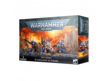 warhammer 40000 space marines bladeguard veteran 601adde414ded