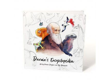 product 0xjxgWFP products encyclopedia 1[1]