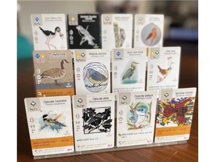 Wingspan Fan Art Cards  (2nd edition incl. Swift-start promo pack)
