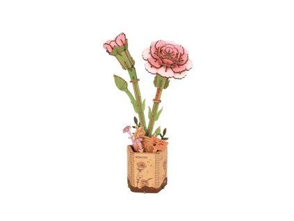 TW051 HL[1]
