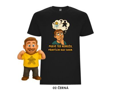 Právě teď nemůžu, přemýšlím nad tahem - TRIČKO insert MitroCZECH organizer BoardGameHolic