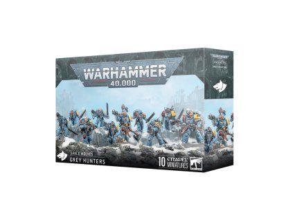 99120101433 SpaceWolvesGreyHuntersSquad2[1]