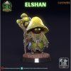 720X720 elshan 01[1]