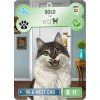 Bark Avenue: Kings and Queens