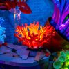 Tropical Aquarium 10366 close orange e332f96e 1da5 408f bb8a bbf138ed2bbd[1]