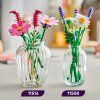 11514 11508 BOTANICALS 2HY26 EcomCross NOTEXT 3000x3000 5