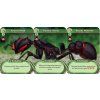 March of the Ants: Evolved Edition