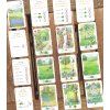 Osprey Games - Village Green