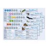 GMT Games - Dominant Species (5th edition)