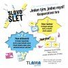 TLAMA games - Slovoslet