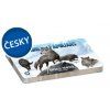 TLAMA games - Věčná zima: Paleoindiáni komplet