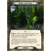 LOTR LCG Core set MEC101 CZ Encounter Cards press49