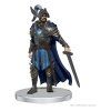 wizkids wiz96096 dungeon dragons icons of the realms set 20 the wild beyond the witchlight starter set 1[1]