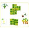 citrusy grove setup