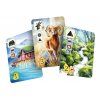 Meadow Downstream cards 2