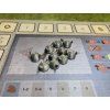 Brian Boru - 3D žetony  (Brian Boru - 3D tokens)