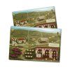 Vinohrad  (Viticulture)
