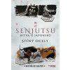 stiny oceli cover