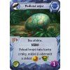 cards 17