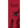 Summit: The Board Game – Teams