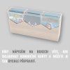 Northgard (5)