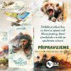 trosecnik old dawg fateflip banner 1500x1500 2