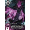 vyrp12 2572ttgames Abyss CZ Vyvrzeni karta2