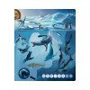 Kniha Tajemství moří a oceánů (Kouzelné čtení)