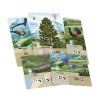 FS alpy cards2