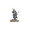 Middle-earth: Strategy Battle Game – Haleth™ & Háma™, Princes of Rohan™