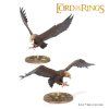 99121499062 GreatEaglesandFledglings1[1]