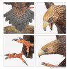 99121499062 GreatEaglesandFledglings3a[1]