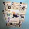 Agama card scaled[1]