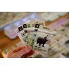 Fan of cards with Hippo scaled[1]