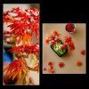 LEGO® Botanicals Bonsaj – Japonský červený javor  10348  JAPANESE RED MAPLE BONSAI TREE